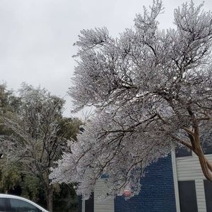 Meet your Posher, Vega